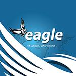 Eagle Boya Topu